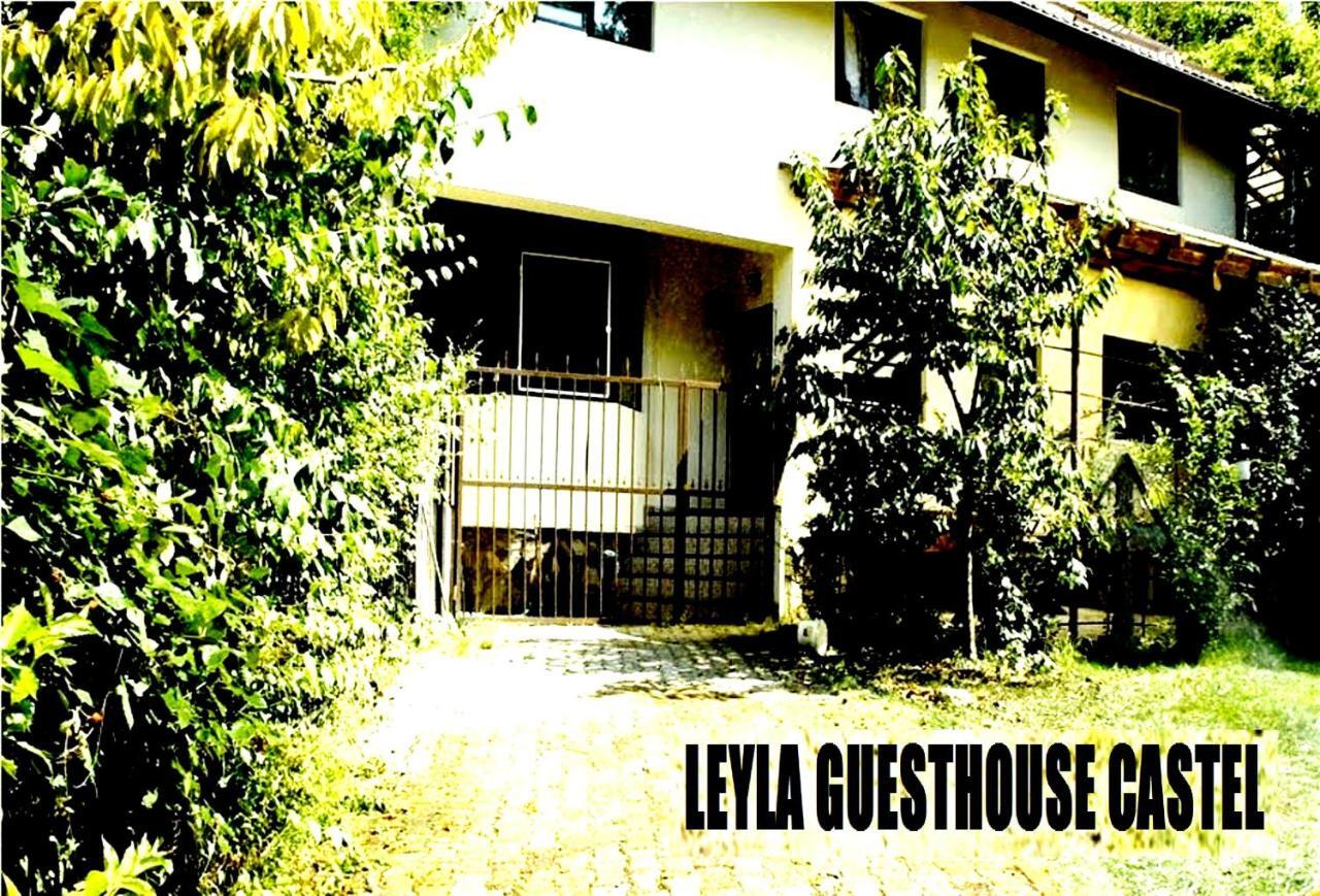 Leyla Guesthouse Castel Brassó Kültér fotó